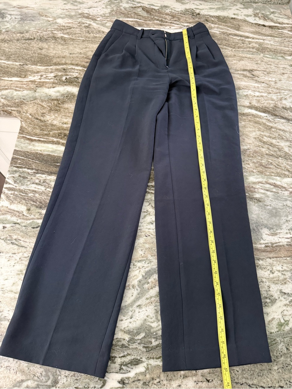 Aritzia Navy Wide-Leg Pleated Trousers
